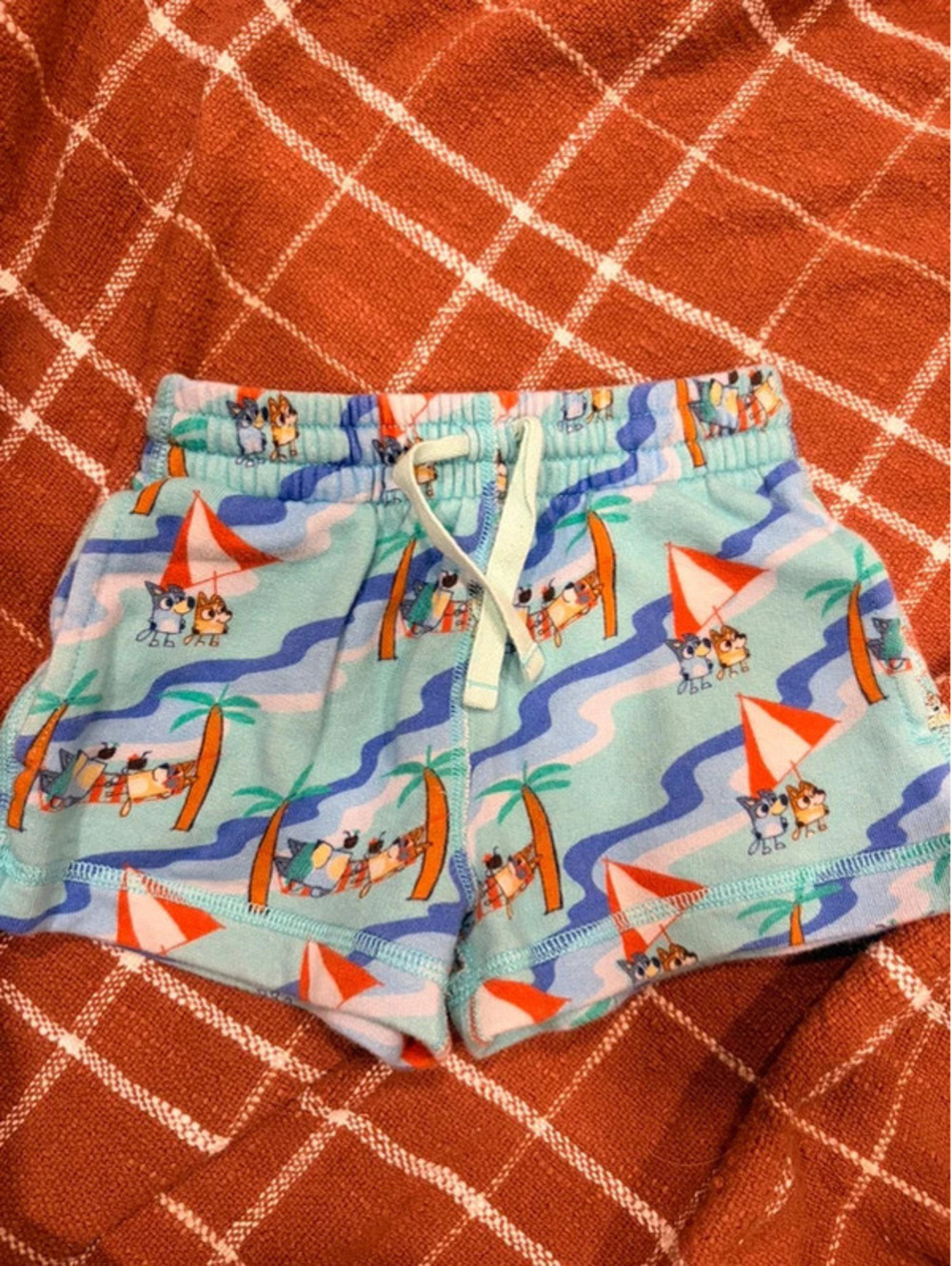 Bluey Hanna Andersson play shorts 3t